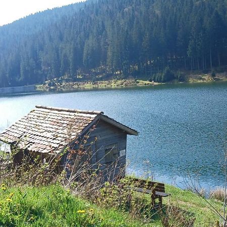 Outdoor & Relax Blackforest Neukirch  Экстерьер фото