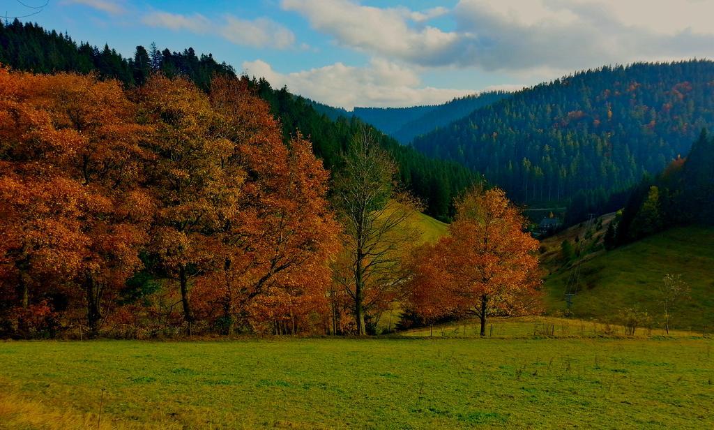 Outdoor & Relax Blackforest Neukirch  Экстерьер фото